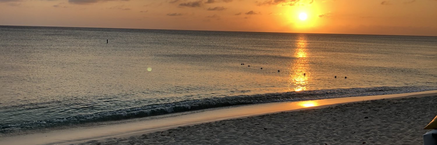 realFitzy's profile banner image