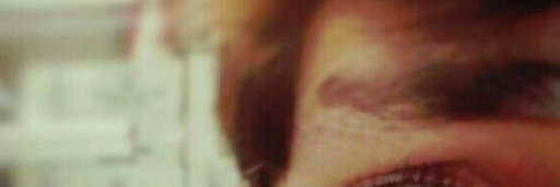 crocoducktaco banner