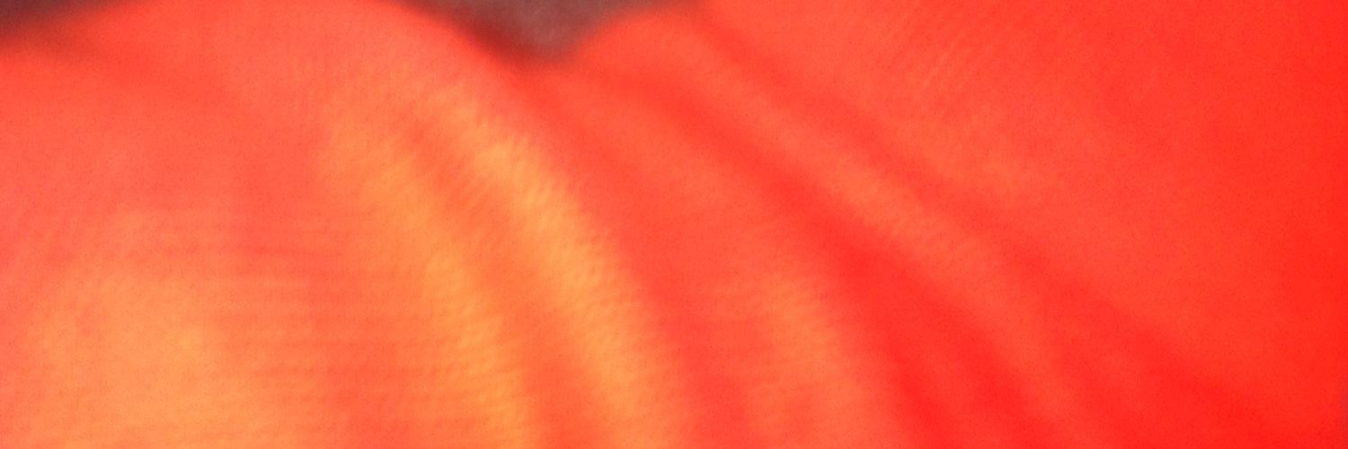 amanda cox banner