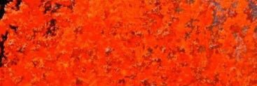freshwitch_mag's profile banner image