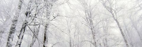 __juliaperez's profile banner image