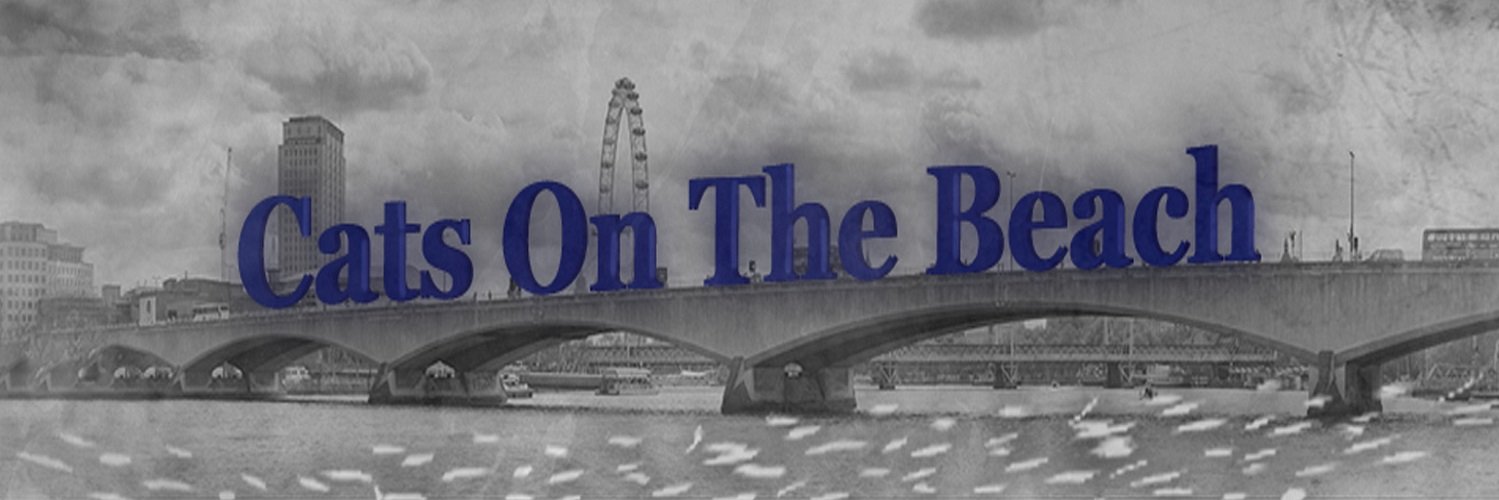 CatsOnTheBeach's profile banner image