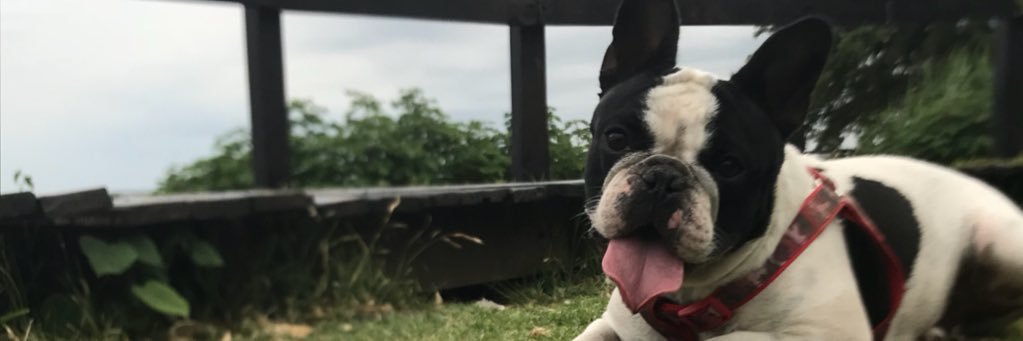 nadiadrt's profile banner image