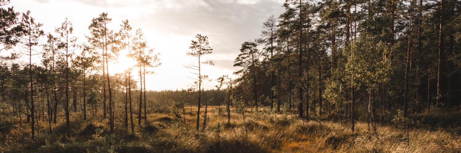 Peter Kullgren banner