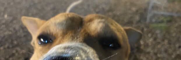 dmswjd banner
