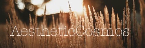 AestheticCosmos's profile banner image