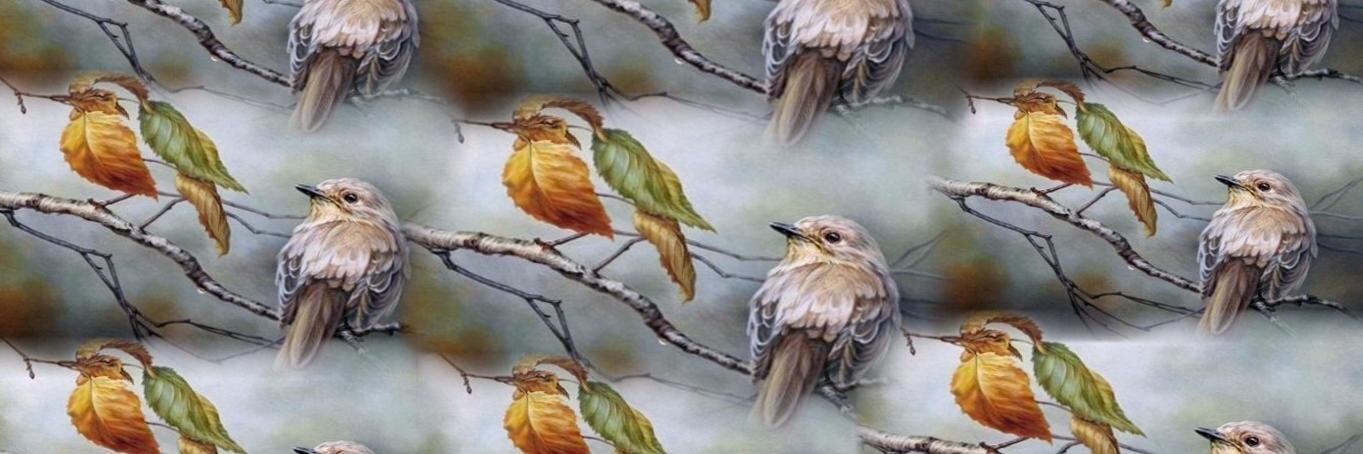 تعدد الزوجات والاسرة banner