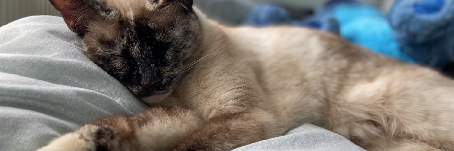maiababex's profile banner image