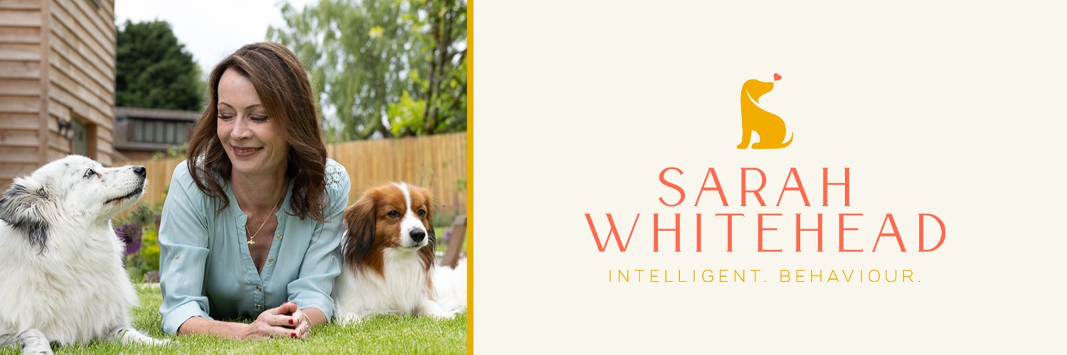 CleverDogCo's profile banner image