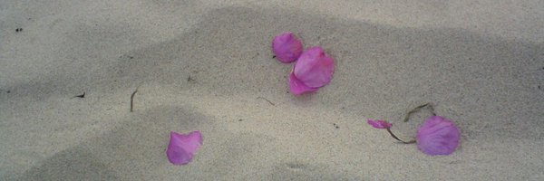 UlrikaLindstr Profile Banner