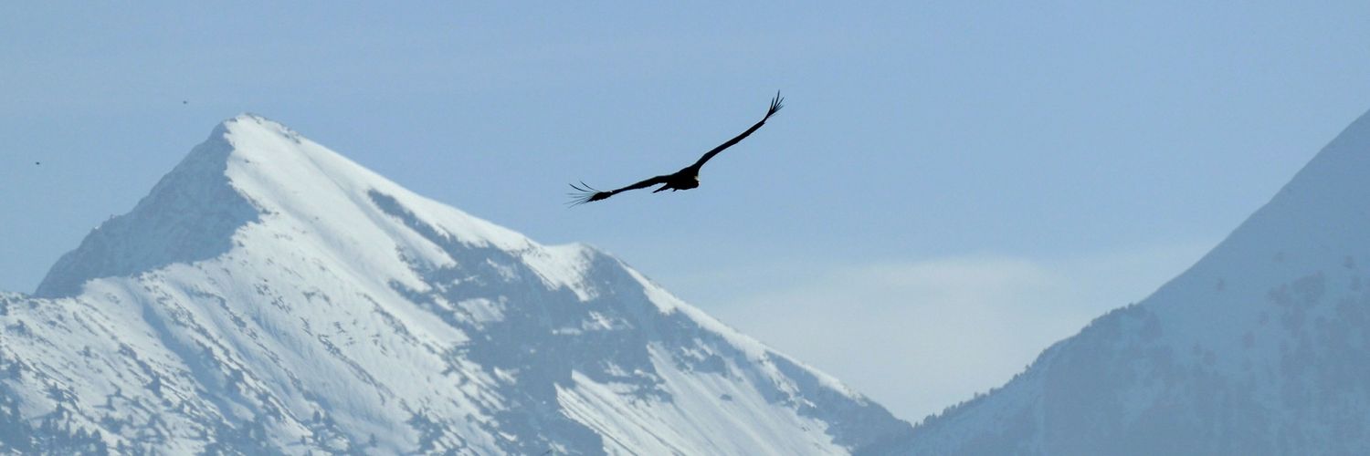 dferbel's profile banner image