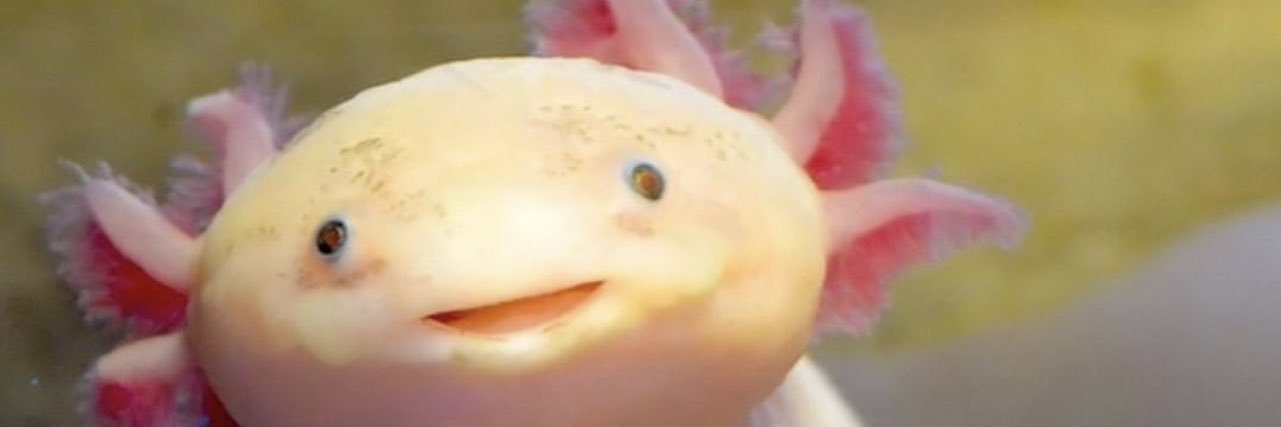 matthewball03's profile banner image