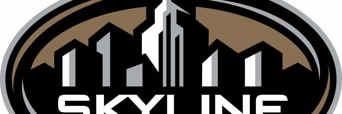 SkylineConfD3's profile banner image