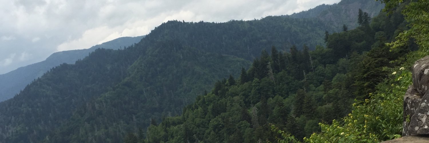 bradhight7's profile banner image