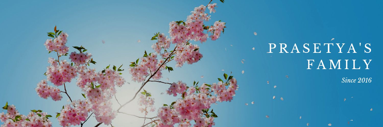 diahelindar's profile banner image
