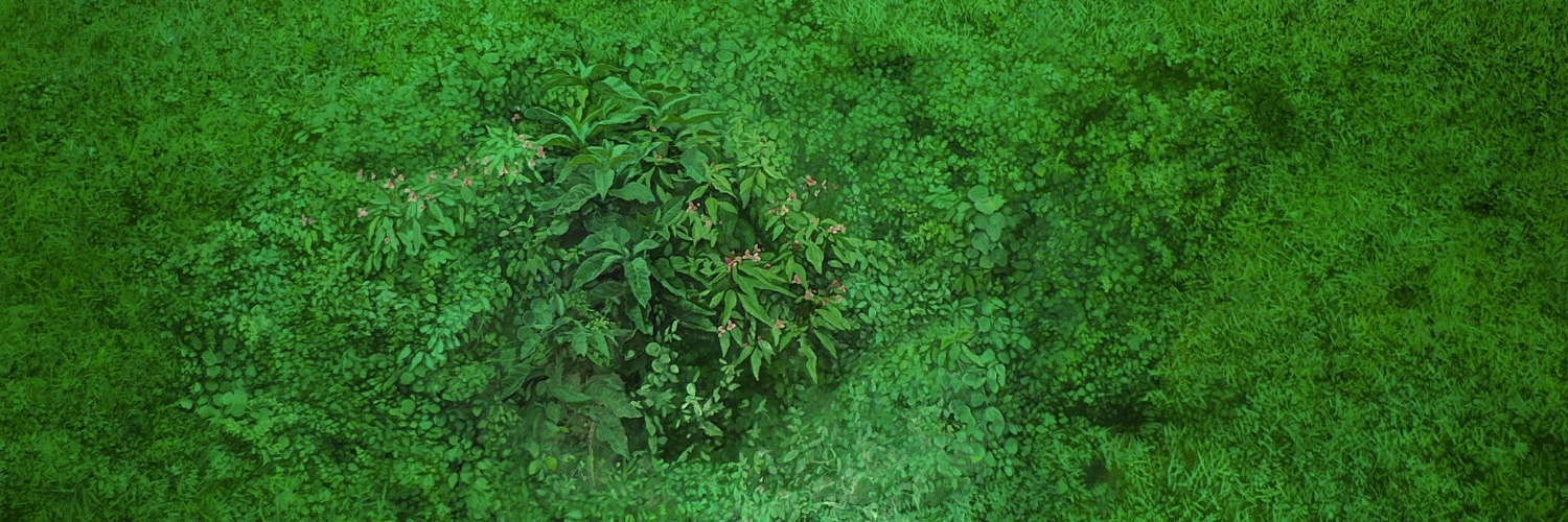 aaronkunce's profile banner image
