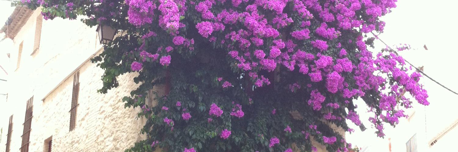 joanpiserra's profile banner image