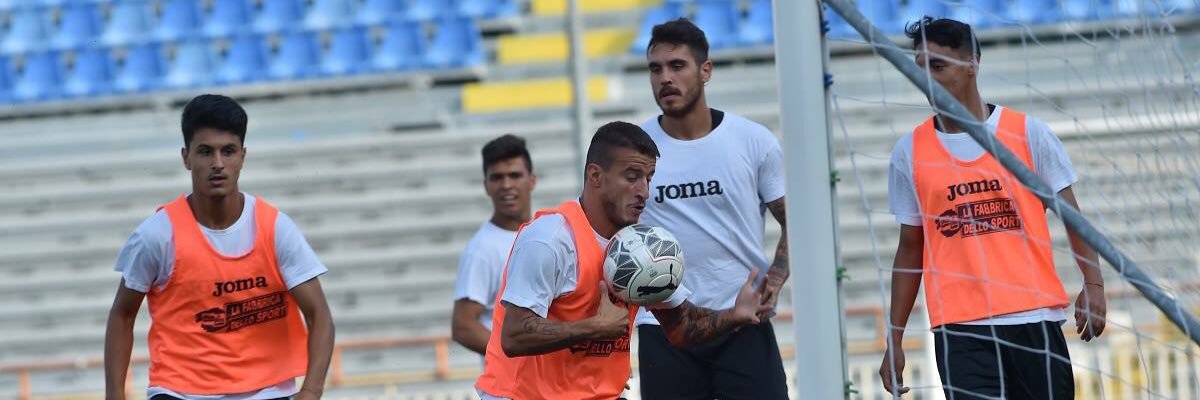 Andrea Penna banner