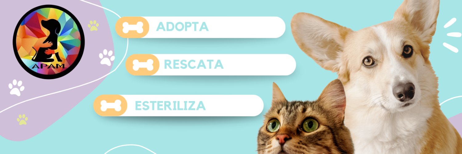 APAM Difusiones Mex banner