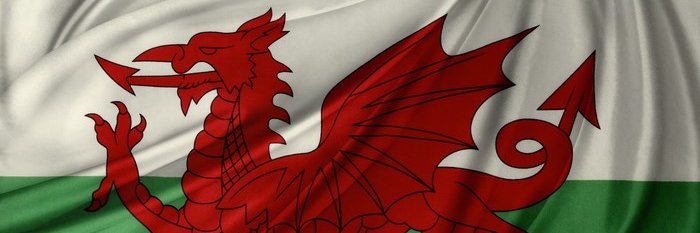 Rosaline Davies banner