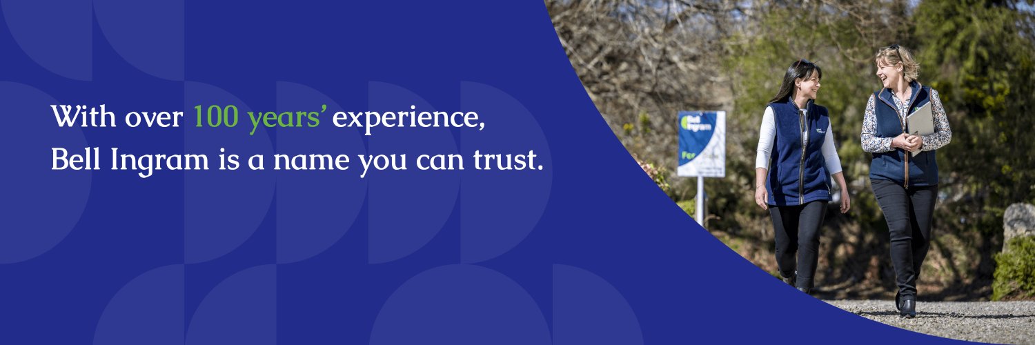 Bell Ingram banner