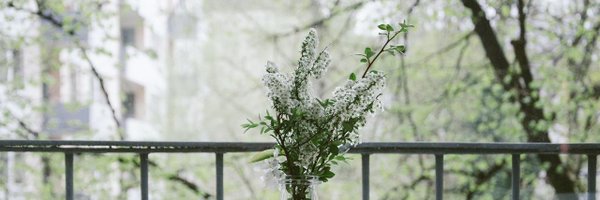 Dollarhacks Profile Banner