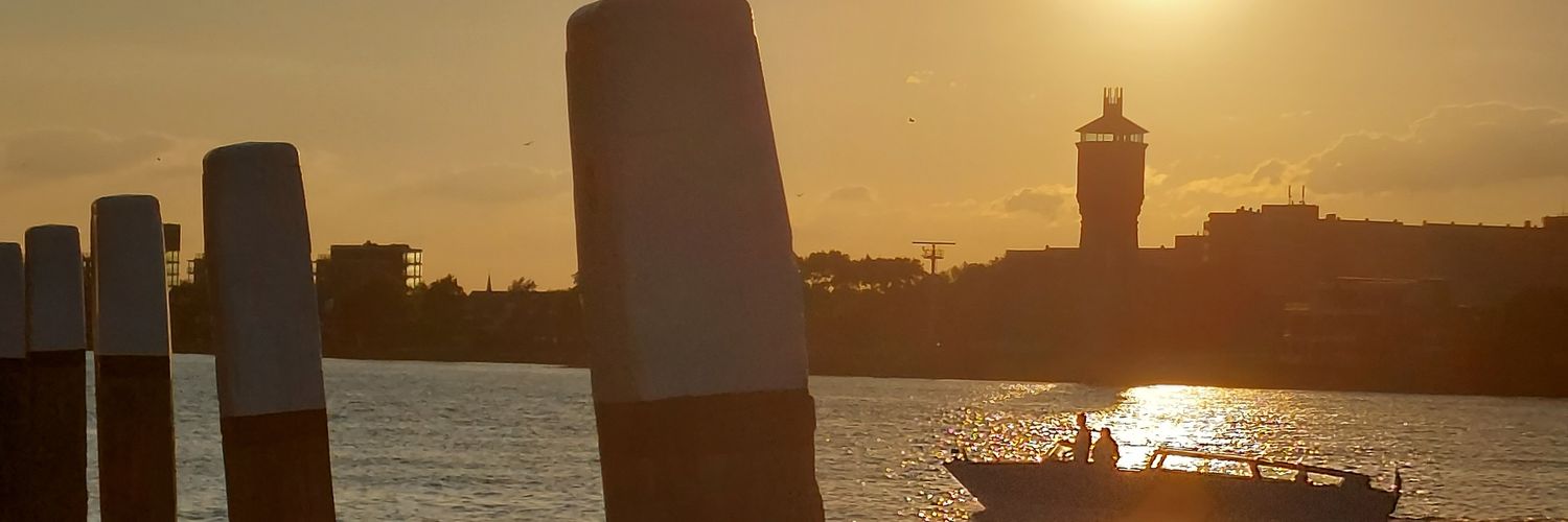 davke81's profile banner image