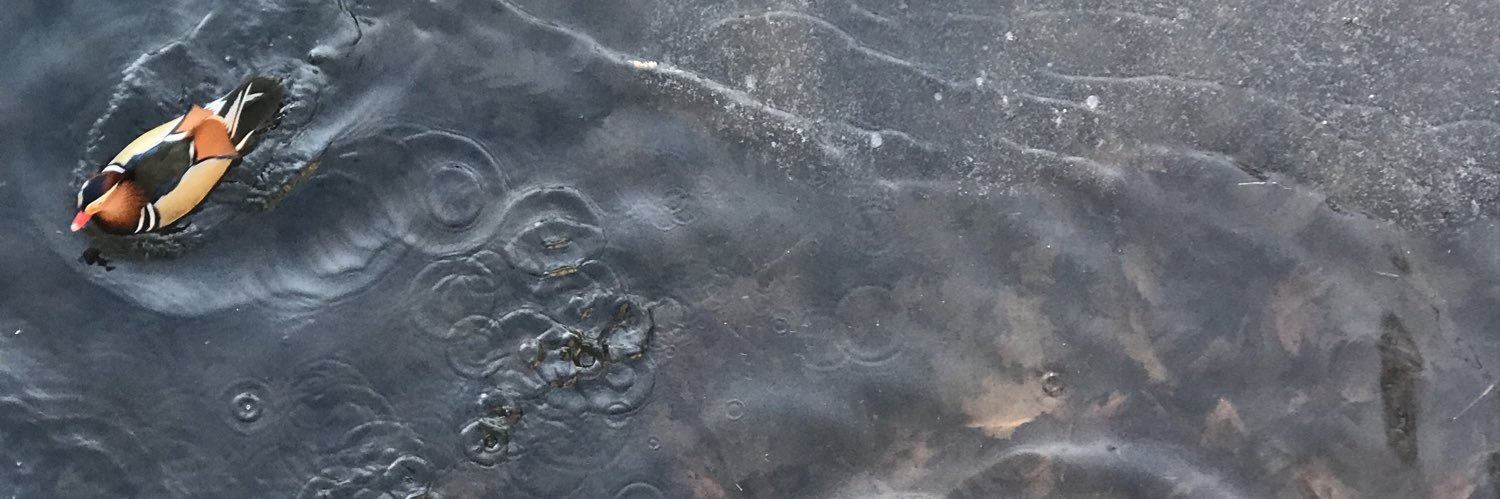 Sooofiamari's profile banner image
