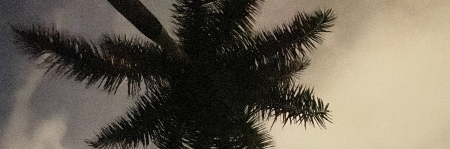mpruge's profile banner image