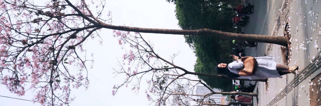 cumaocha's profile banner image