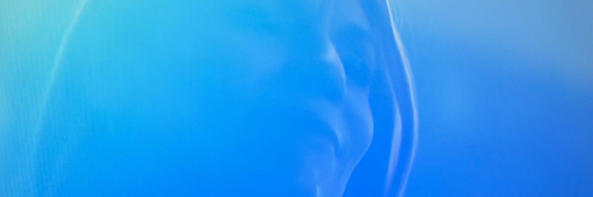 pollynesica's profile banner image