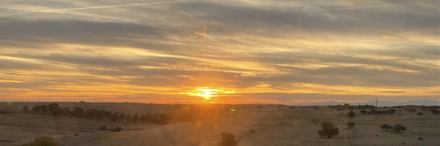 grandulk_'s profile banner image