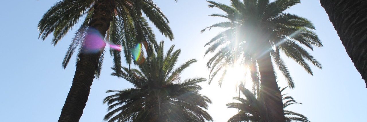 ValentinaPoveda's profile banner image