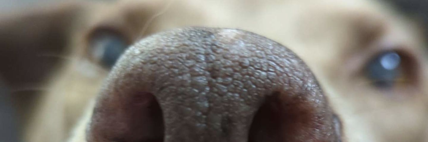 JDParkintheSun's profile banner image