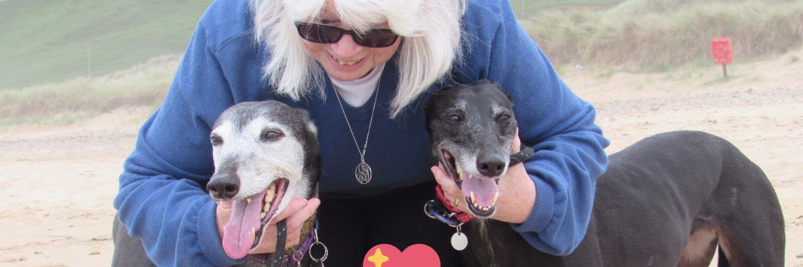 samwisemum's profile banner image