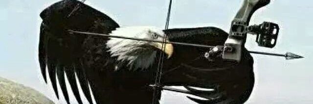 🇺🇸Christine🇺🇸 banner