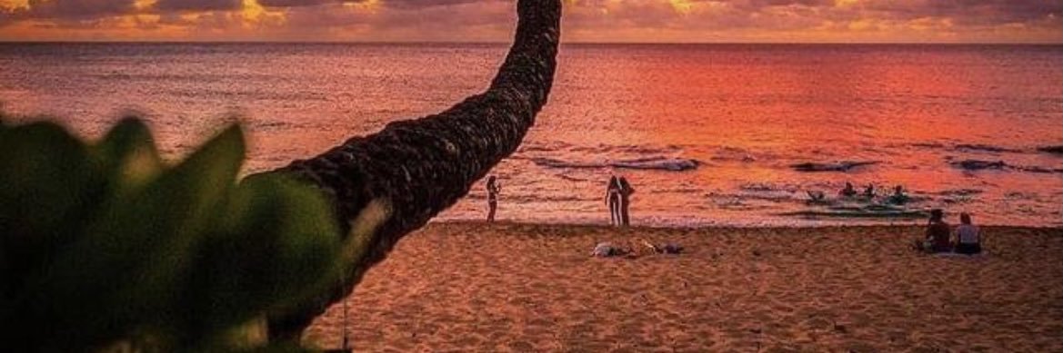 jk4176's profile banner image
