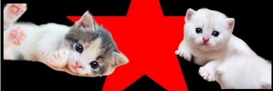 🍃Ⓐ𝕜𝕙𝕒𝕣𝕕.😼's banner