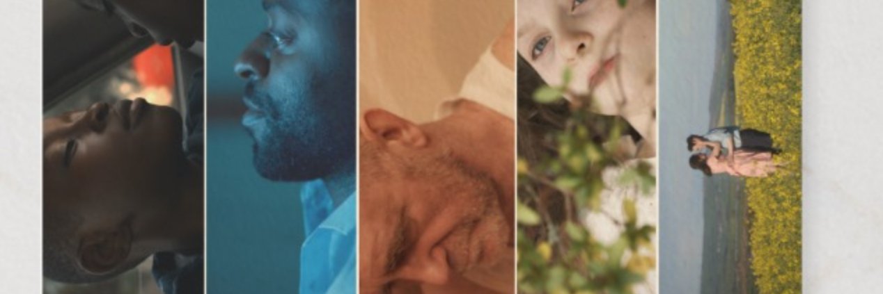 Aoife O'Kelly banner