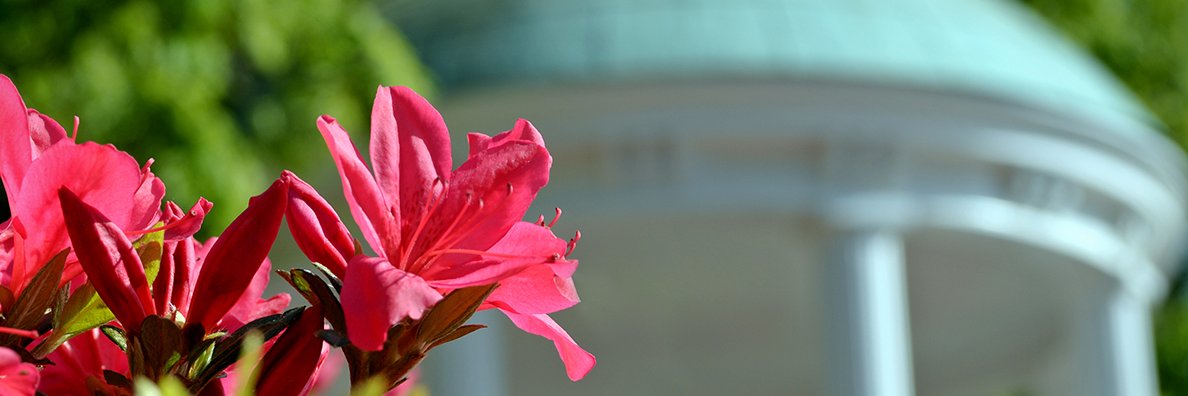 Office of Interprofessional Education & Practice banner