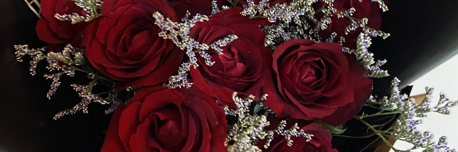 ariannesandra's profile banner image