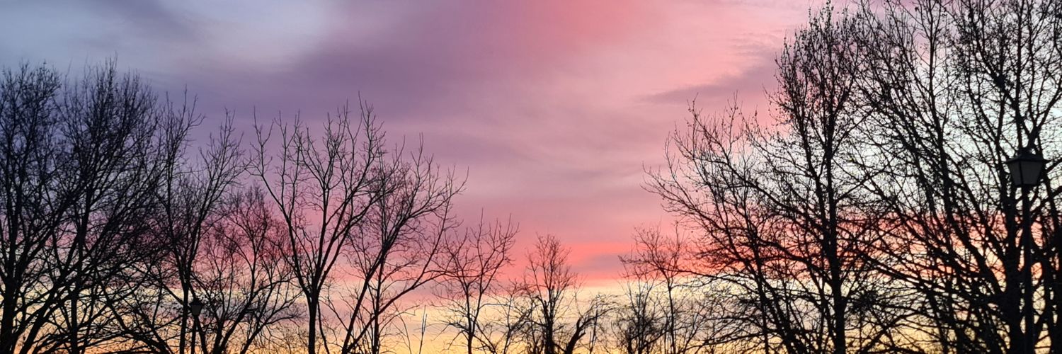 SinghaDNA's profile banner image