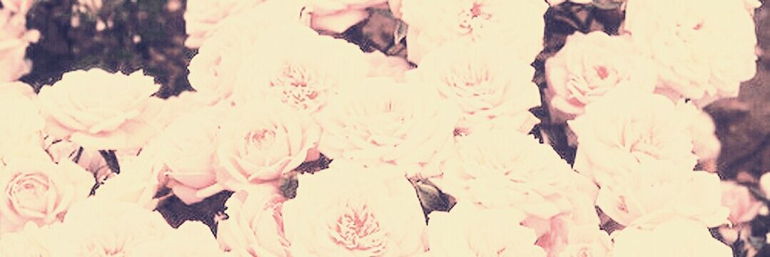 WavingSnail_'s profile banner image