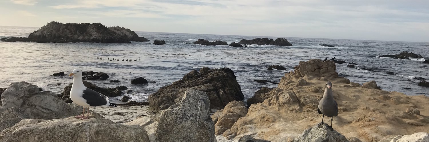 danielglez's profile banner image