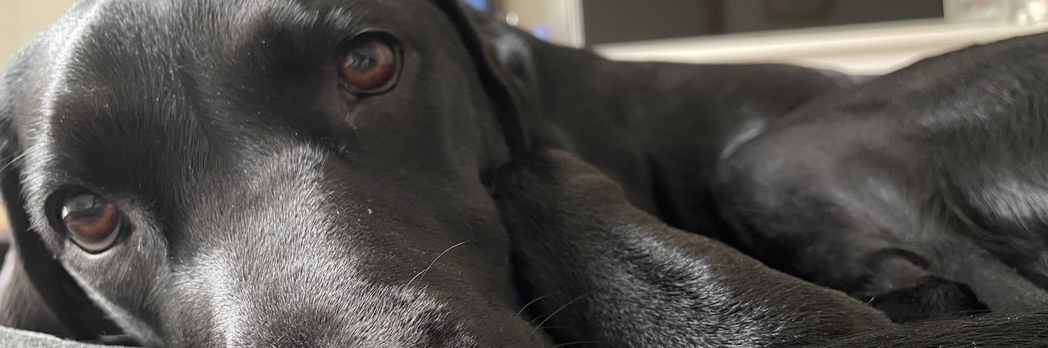 TillyLikesPie's profile banner image