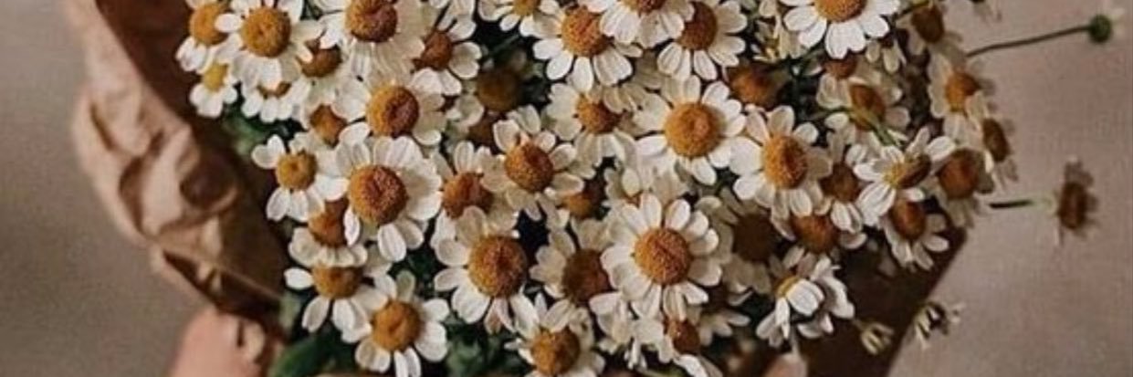 CaglaSeda's profile banner image