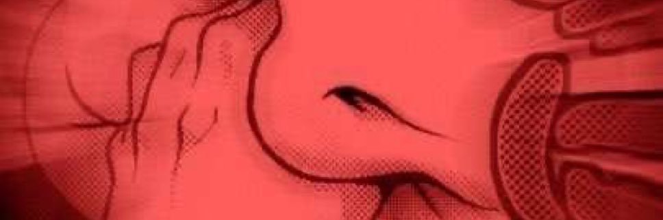 Hmp808s's profile banner image