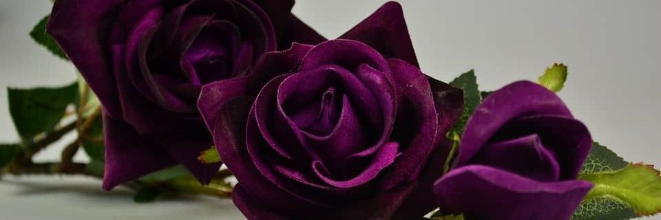 Rachel71769556's profile banner image
