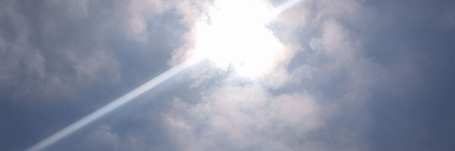 RoserMejias's profile banner image