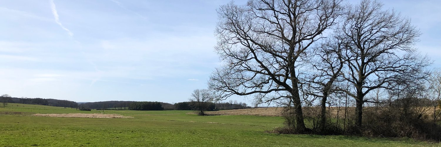 Laurent Schüssler banner